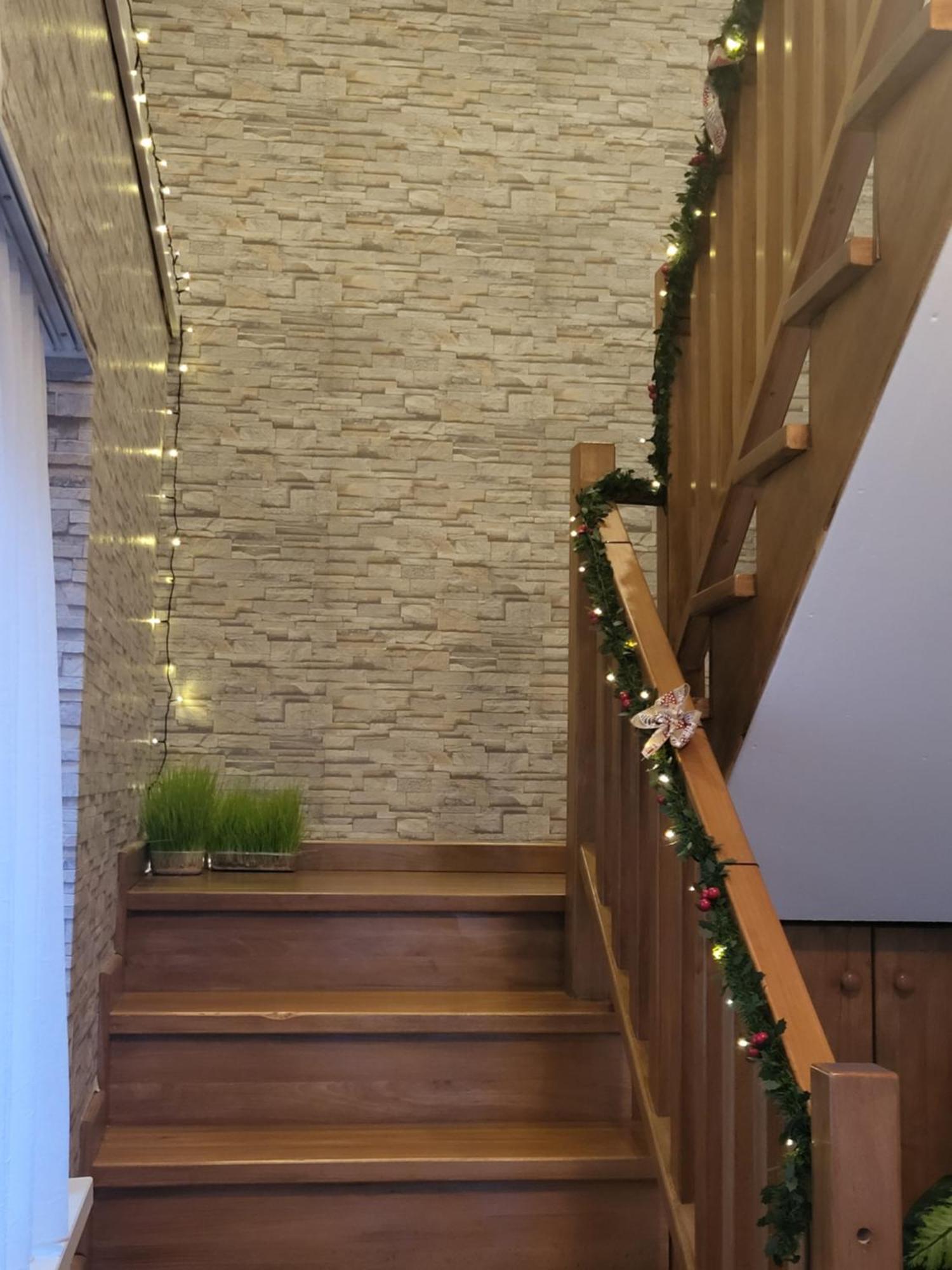 Apartman Medved 斯诺基 外观 照片